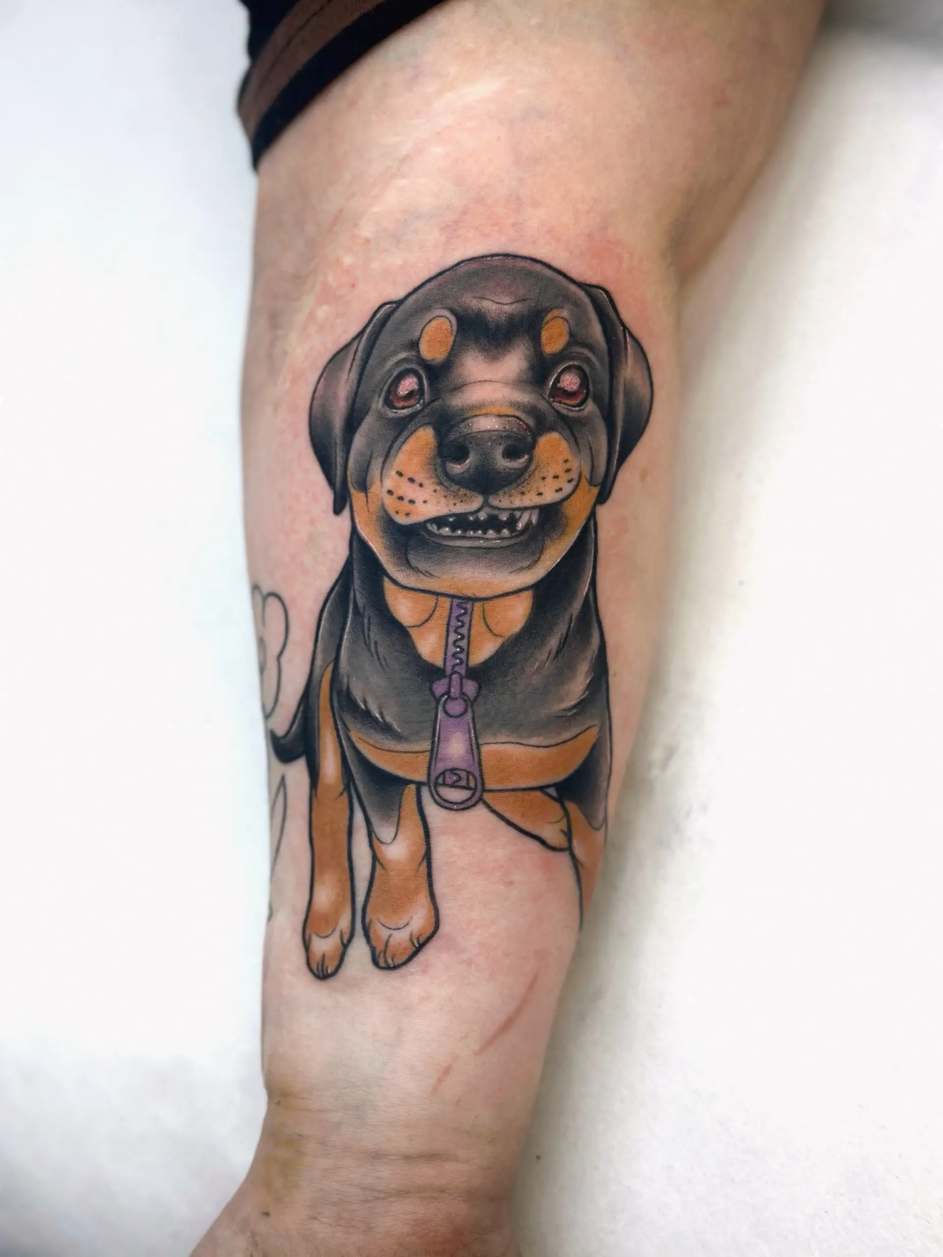 tatuointi-rottwailer-pentu-neotraditional-